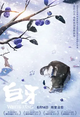 国产福利视频一区二区微拍视频